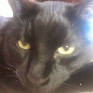 Meet your Posher, Renae